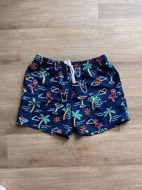 Chubbies Men's The Neon Lights Classic Swim Trunks, 5.5 inseam, men’s Medium